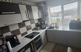 Apartament cu 2 camere, renovat si mobilat