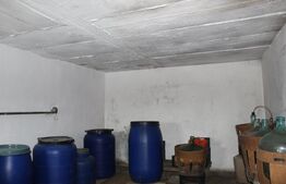 Casă solidă cu teren în Boroșneu Mic – liniște si natură 