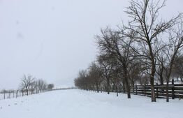 Casă solidă cu teren în Boroșneu Mic – liniște si natură 