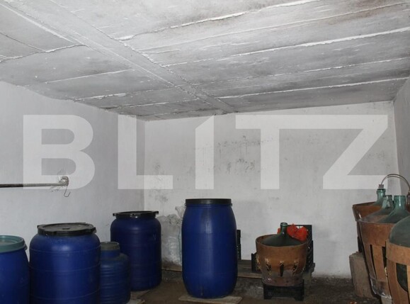 Casa de vânzare 3 camere Borosneu Mic - 188476CV | BLITZ Sfântu Gheorghe | Poza15