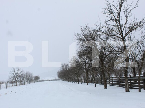 Casa de vânzare 3 camere Borosneu Mic - 188476CV | BLITZ Sfântu Gheorghe | Poza16