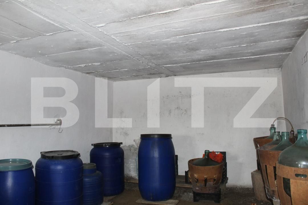 Casa de vânzare 3 camere Borosneu Mic - 188476CV | BLITZ Sfântu Gheorghe | Poza15