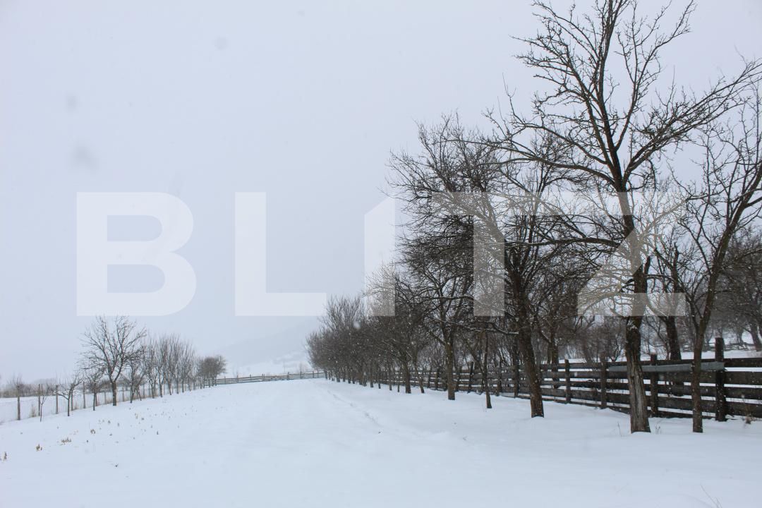 Casa de vânzare 3 camere Borosneu Mic - 188476CV | BLITZ Sfântu Gheorghe | Poza16