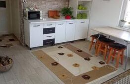 Casa de lemn cu 2 camere