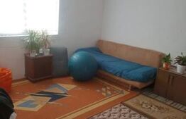 Casa de lemn cu 2 camere