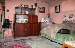 Casă tradițională cu teren generos – Covasna Voinesti