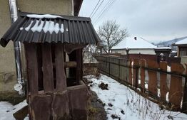 Vila/Pensiune rustica 