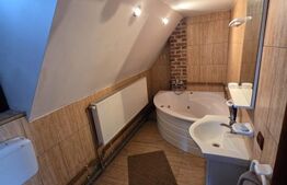 Vila/Pensiune rustica 