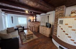 Vila/Pensiune rustica 