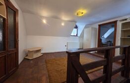 Vila/Pensiune rustica 