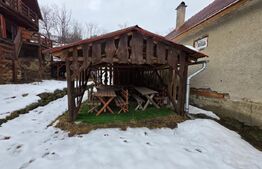 Vila/Pensiune rustica 