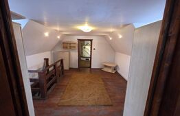 Vila/Pensiune rustica 