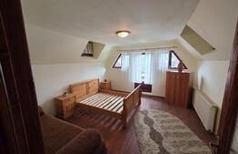 Vila/Pensiune rustica 