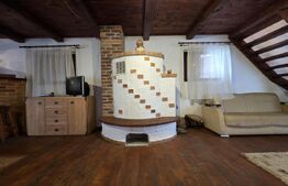 Vila/Pensiune rustica 