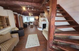 Vila/Pensiune rustica 