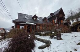 Vila/Pensiune rustica 