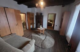 Vila/Pensiune rustica 