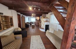 Vila/Pensiune rustica 