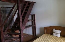 Vila/Pensiune rustica 