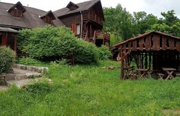 Vila/Pensiune rustica 