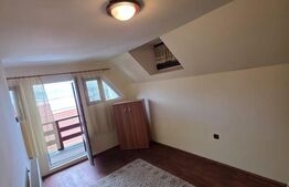 Vila/Pensiune rustica 