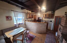 Vila/Pensiune rustica 