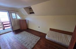 Vila/Pensiune rustica 