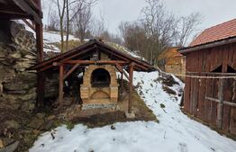 Vila/Pensiune rustica 