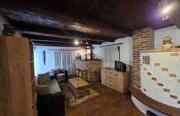 Vila/Pensiune rustica 