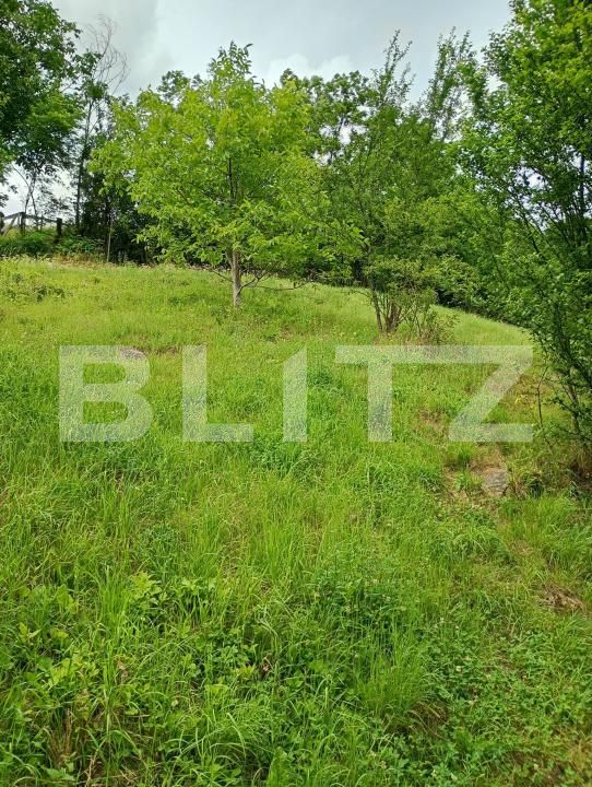 Casa de vânzare 7 camere Cernat - 188938CV | BLITZ Sfântu Gheorghe | Poza7