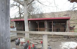 Dublă Oportunitate: Casă Nouă 2020 + Casă Tradițională pe 1.337 mp Teren