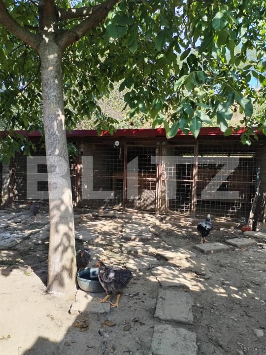 Casa de vânzare 5 camere Belin - 189063CV | BLITZ Sfântu Gheorghe | Poza7