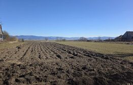 Casa individuala cu 3 camere intr-un teren generos