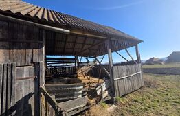 Casa individuala cu 3 camere intr-un teren generos