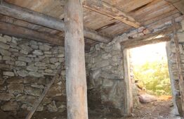 Casă batraneasca cu teren generos - Telechia