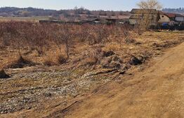 Teren intravilan 3405 mp – PUZ aprobat, front 60 m