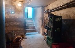 Casă cu Saună Finlandeză + Atelier Auto in Sfantu Gheorghe