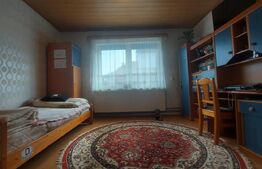 Casă cu Saună Finlandeză + Atelier Auto in Sfantu Gheorghe