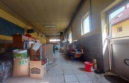 Casă cu Saună Finlandeză + Atelier Auto in Sfantu Gheorghe