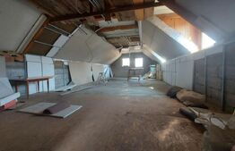 Casă cu Saună Finlandeză + Atelier Auto in Sfantu Gheorghe