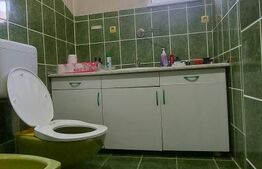 Casă cu Saună Finlandeză + Atelier Auto in Sfantu Gheorghe