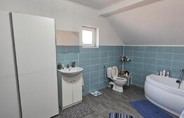 Casă sub pădure, lângă Sfantu Gheorghe