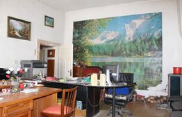 Doua cladiri de birouri de vanzare, 116 mp I Curte I Central