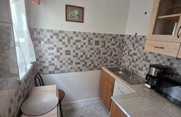 Garsoniera de vanzare, 21 mp, Sf. Gheorghe