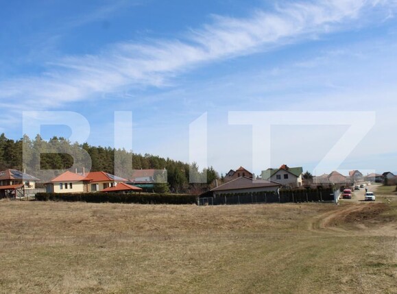 Teren de vânzare Vest - 191649TV | BLITZ Sfântu Gheorghe | Poza1