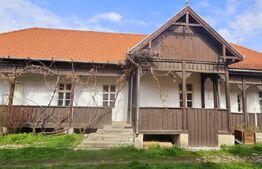 Casă tradițională în centrul orasului, potential ridicat - Sf.Gheorghe 