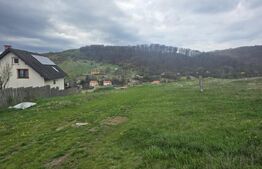 Teren intravilan, vedere panoramica, 610 mp, zona Simeria 