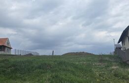 Teren intravilan, vedere panoramica, 610 mp, zona Simeria 