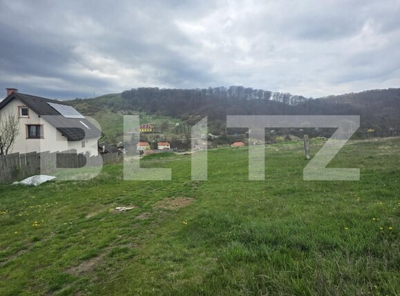 Teren de vânzare Simeria - 192911TV | BLITZ Sfântu Gheorghe | Poza3