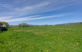 Teren de vânzare Ghidfalau, Sfântu Gheorghe